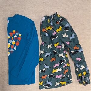 Set Of 2 Girl's Shirts Hanna Andersson Cotton Horse Acorn Long Sleeved Size 12